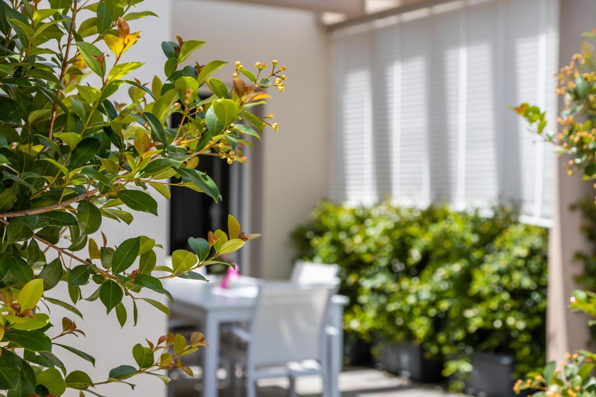 La Collina Di Montegrappa - Suites With Heated Private Pool - Suites With Shared Pool Tuglie Rom bilde